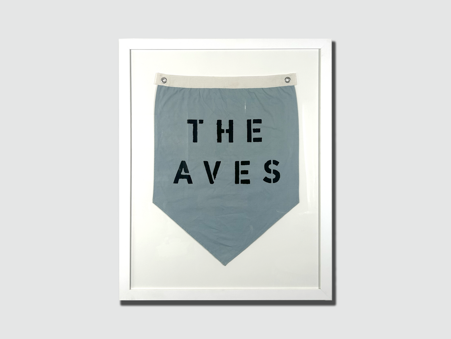 The Aves CLUB